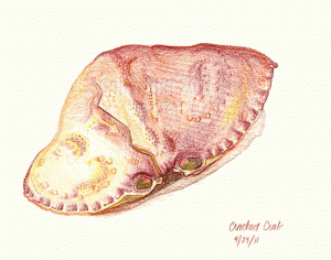 Colored pencil sketch of cracked crab shell
