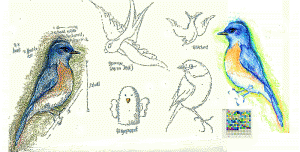 sketchbook page of birds