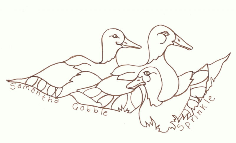 outlines of 3 ducks