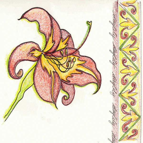 Day Lily sketch with border