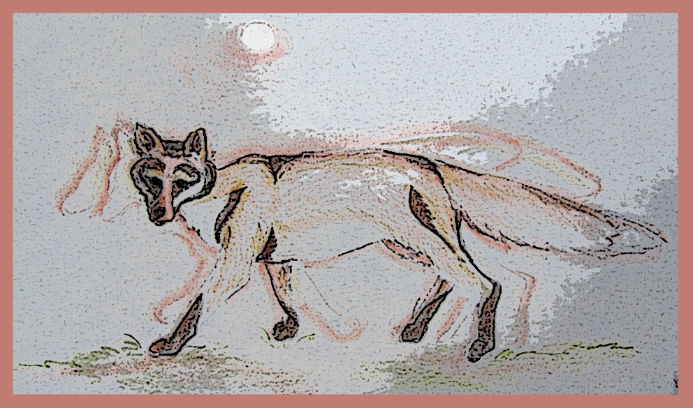 sketch of fox moving