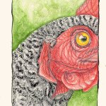Closeup sketch of chicken face