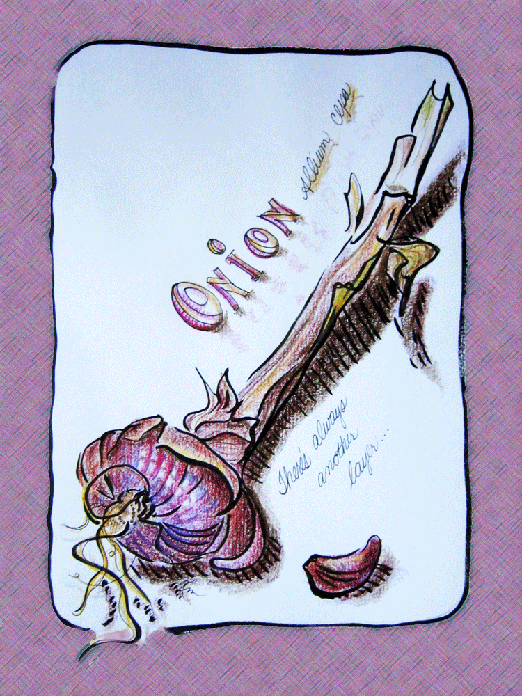 sketch of a purple onion