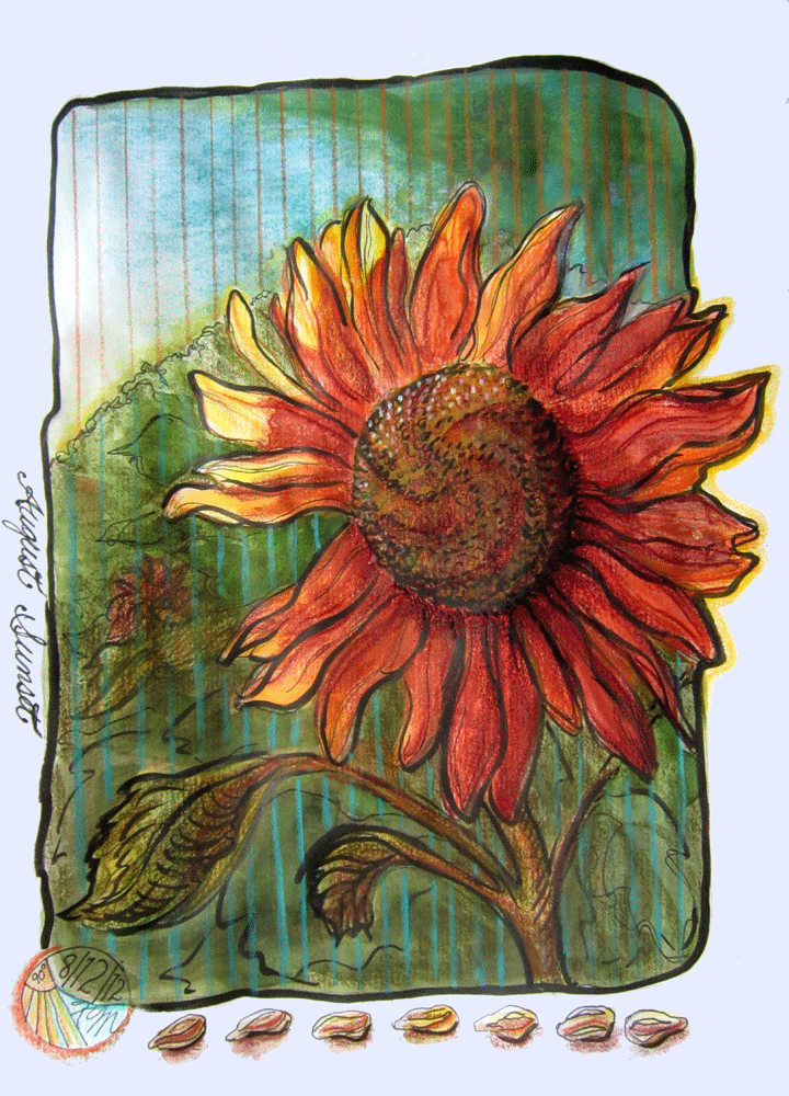 sketch of sunflower
