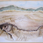 fish skeleton on parched lakebed