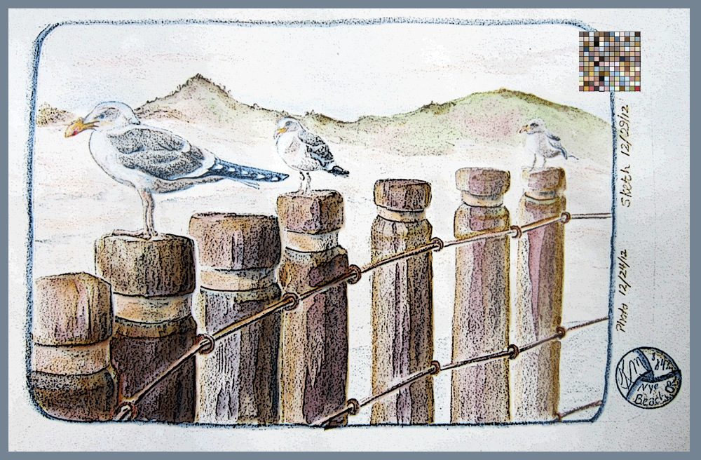 gulls perched on a row of posts