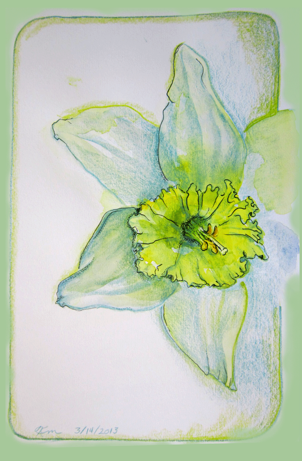 sketch of daffodil
