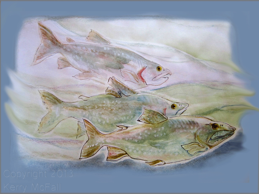 Odell Mackinaw Trout, mixed media by Kerry McFall