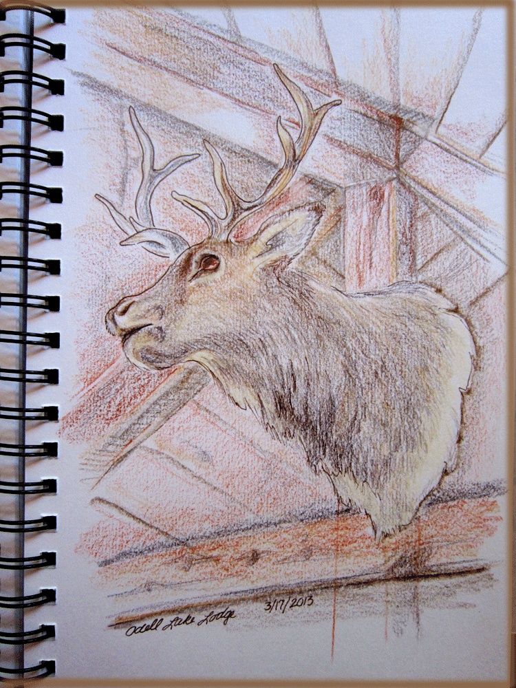 sketch of mounted elk