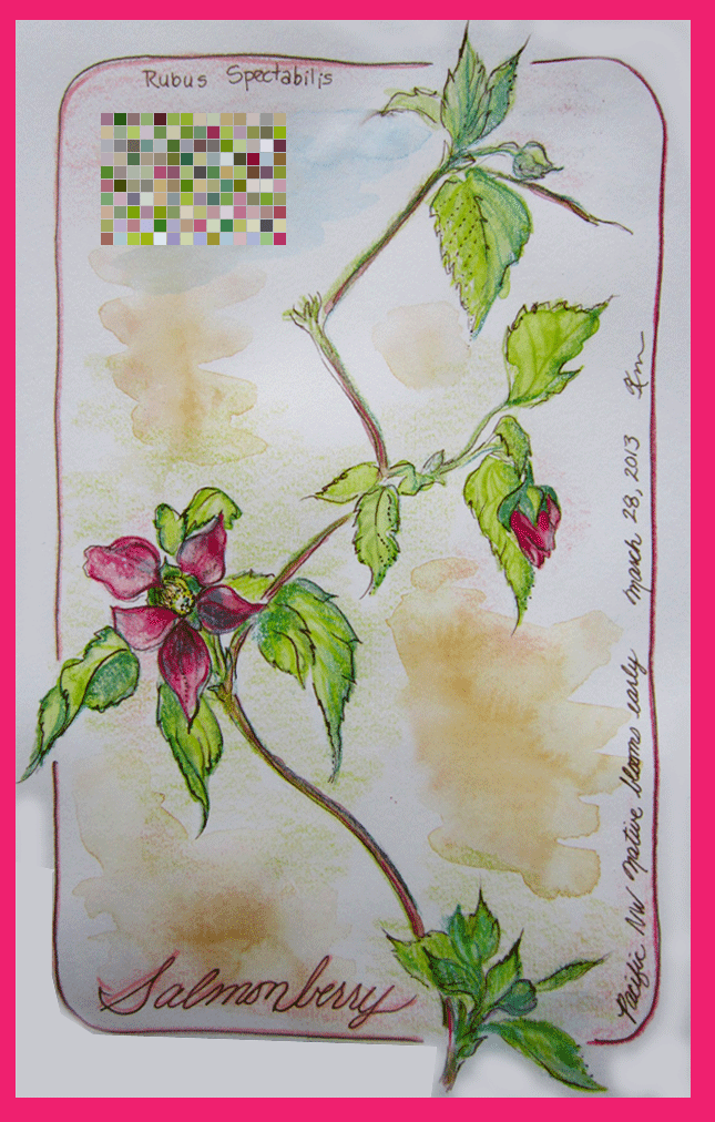 sketch of leaves and blossoms