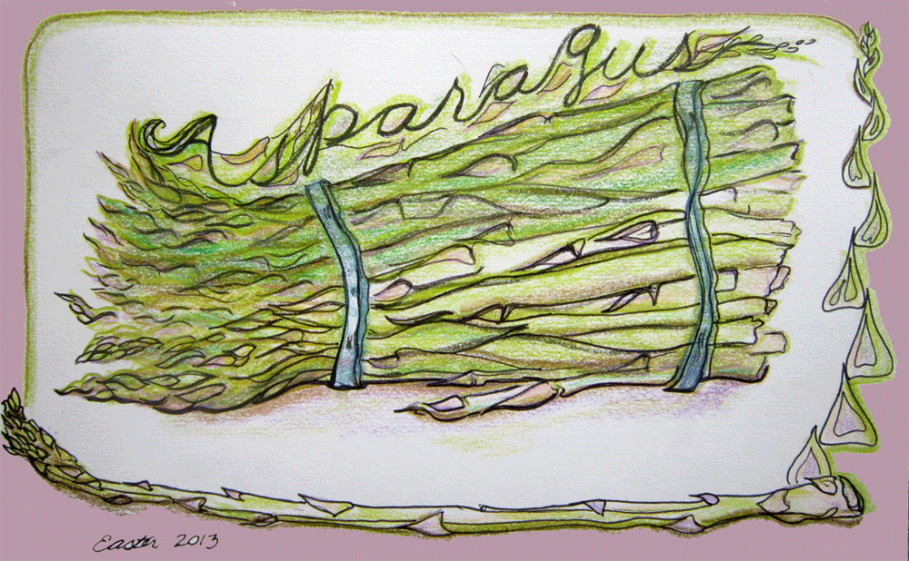 sketch of asparagus