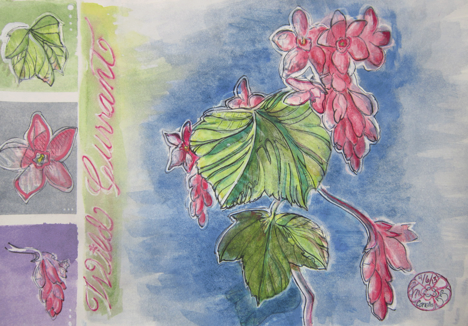sketch of red flowers and green leaves