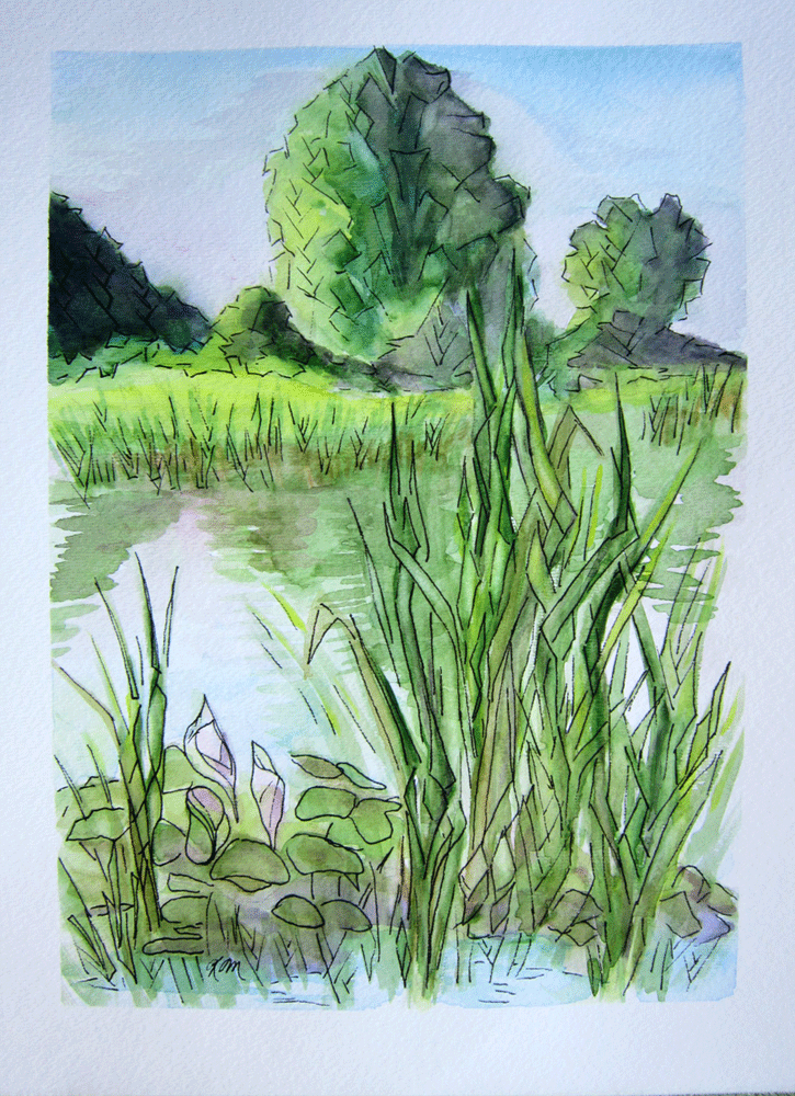sketch of cattail and trees