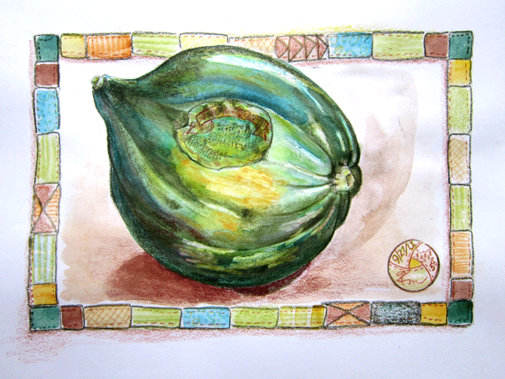 sketch of acorn squash with guilted borderr