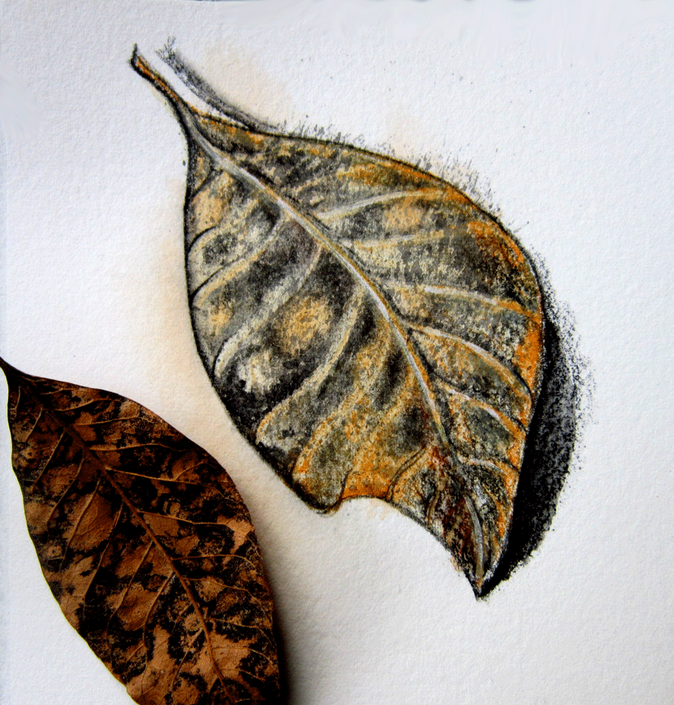 Ash Leaf, mixed media by Kerry McFall