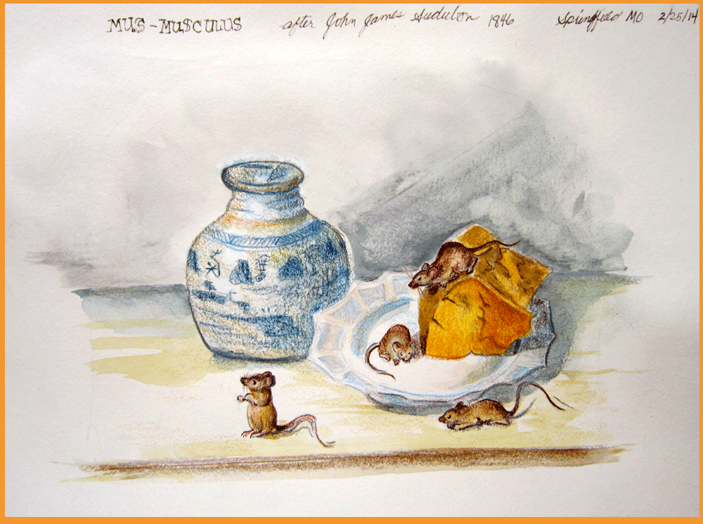 sketch of 4 mice on cheese