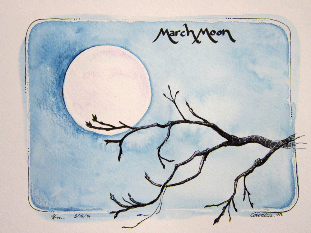 sketch of moon behind tree branch