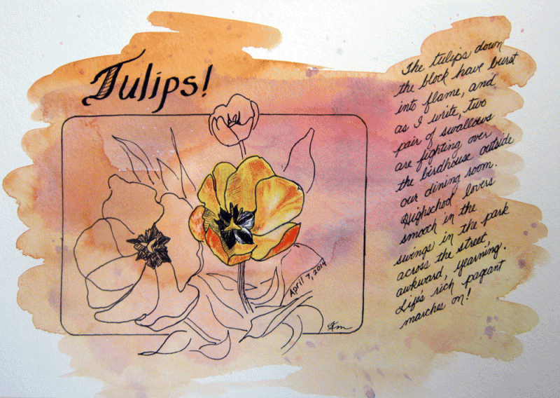 sketch of tulips with handwritten notes