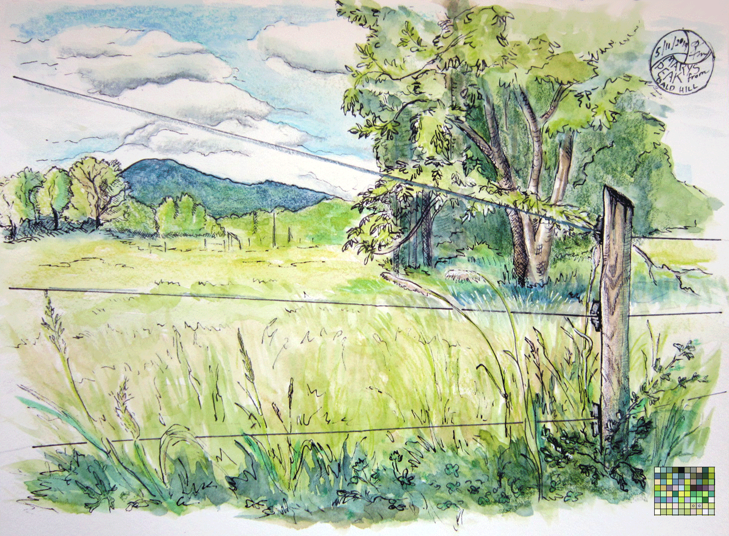 "Mary's Peak from Bald Hill", mixed media sketch by Kerry McFall