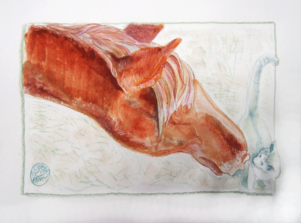 sketch of horse and cat