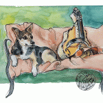 dog portrait with instrument