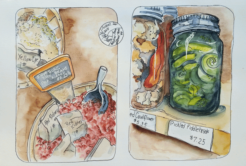 sketch of canned goods and dry beans