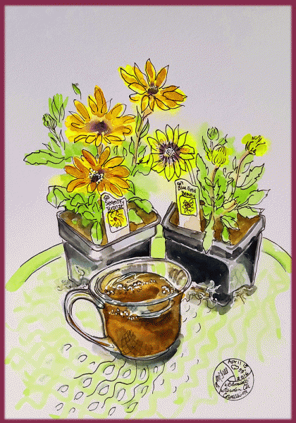 sketch of flower starts and coffee
