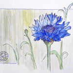 painting of blue flower
