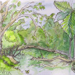sketch of creek bank
