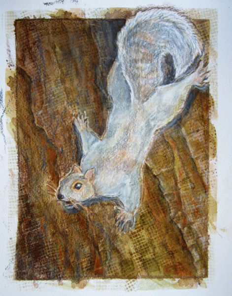 painting of squirrel clinging to tree bark
