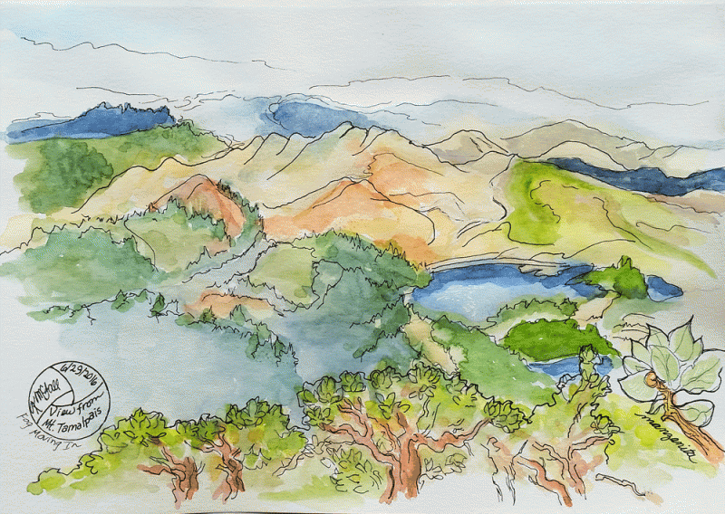 "View from Mt. Tamalpais Summit", mixed media by Kerry McFall