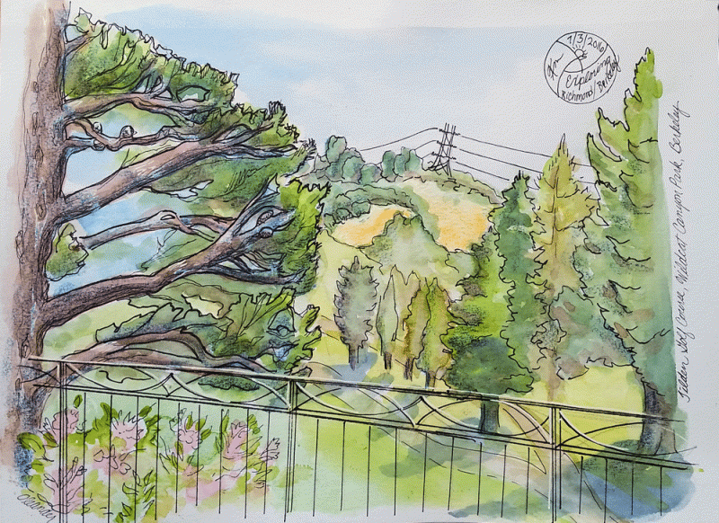 "View of Tilden Park", mixed media by Kerry McFall
