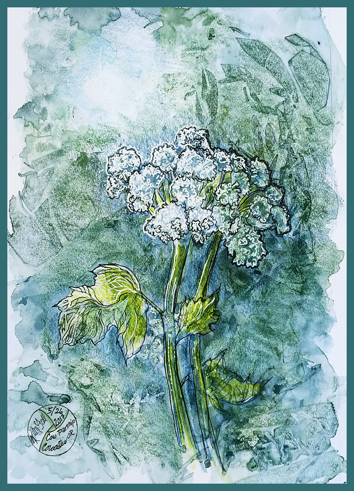painting of cow parsnip