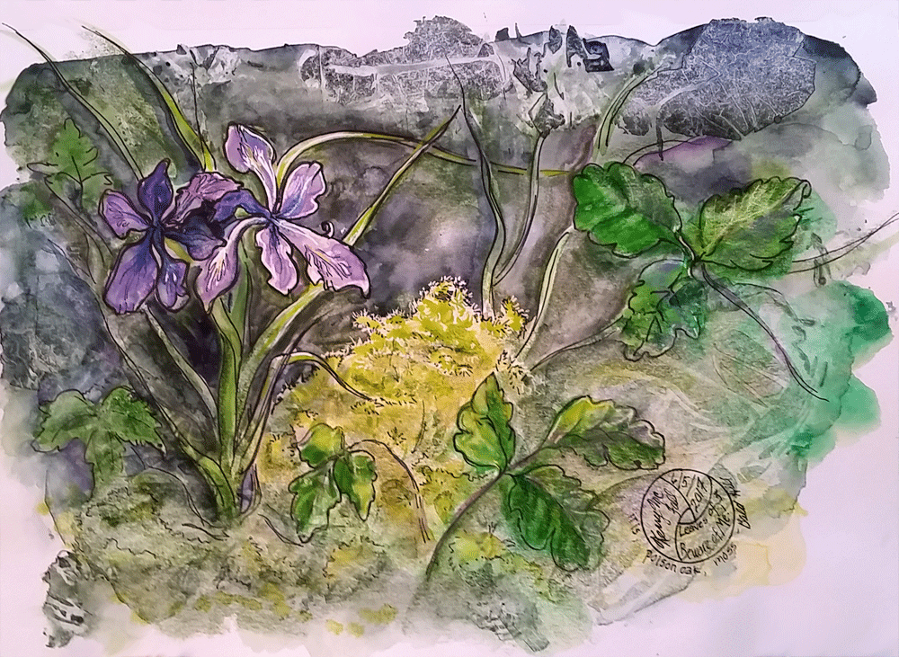 painting of wild iris, moss, and poison oak