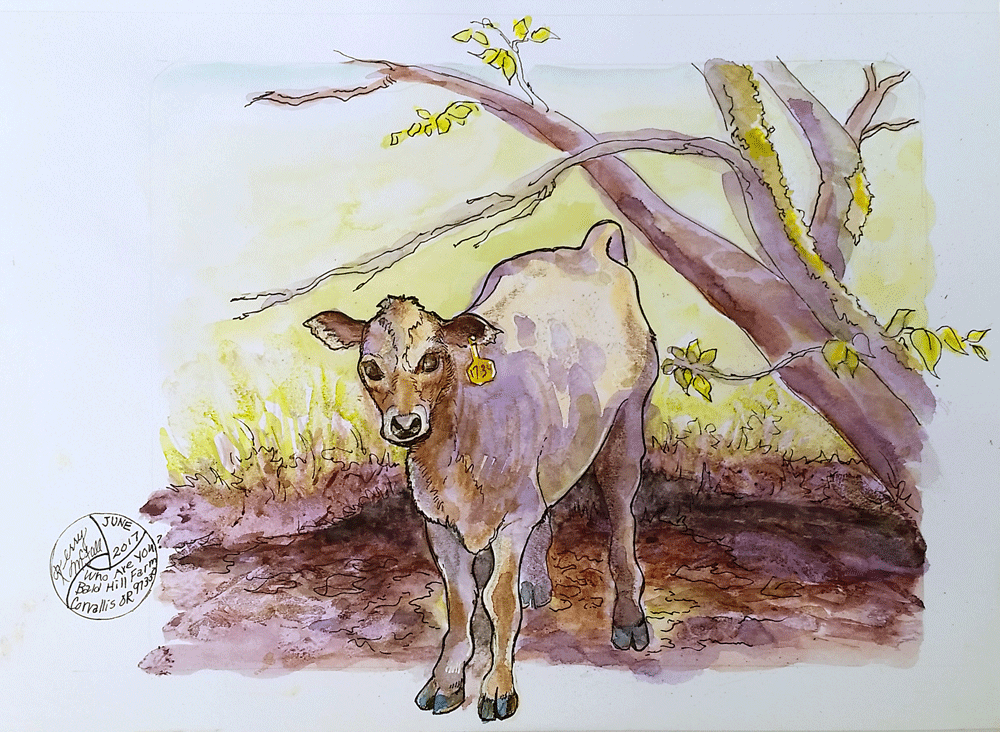 painting of curious calf