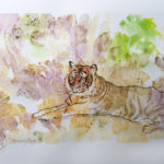 sketch of Bengal Tiger
